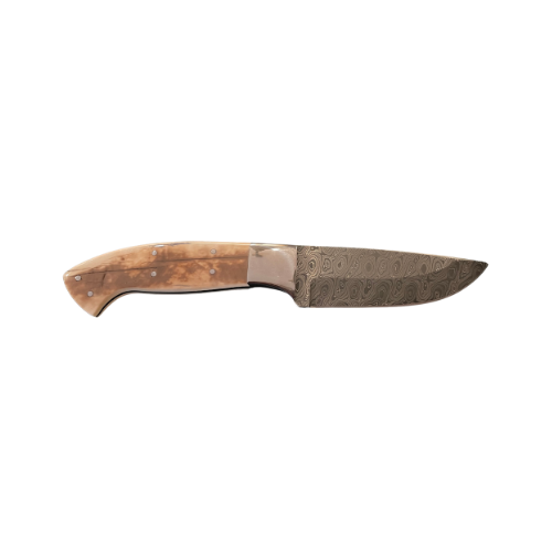 Sporting Gentry Mammoth Tusk Damascus Hunting Knife SG32
