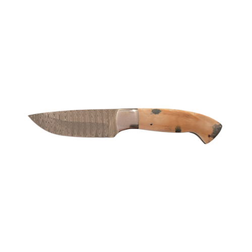 Sporting Gentry Mammoth Tusk Damascus Hunting Knife SG26