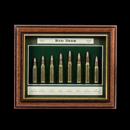 Sporting Gentry CS34 Red Deer Display