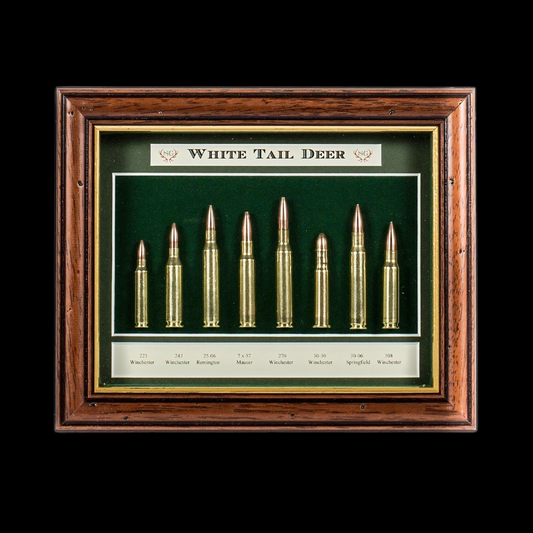 Sporting Gentry SG04 White Tail Deer Display