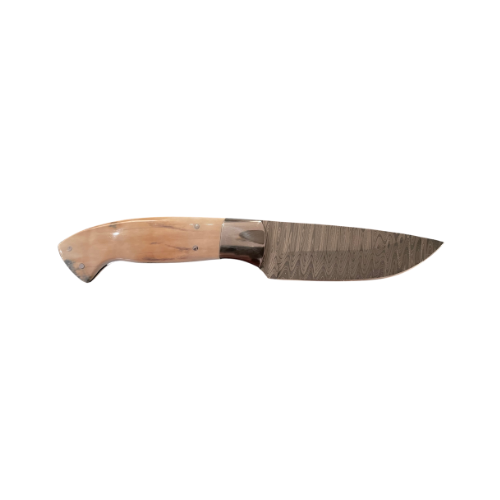 Sporting Gentry Mammoth Tusk Damascus Hunting Knife SG26