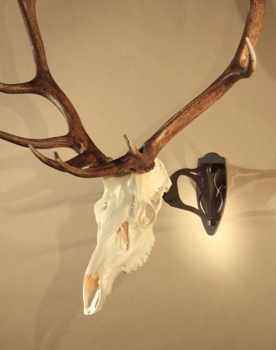 Skull Hooker Big Hooker®