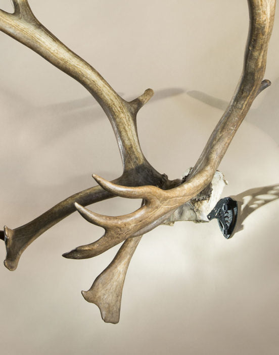 Skull Hooker Bone Bracket® XXL