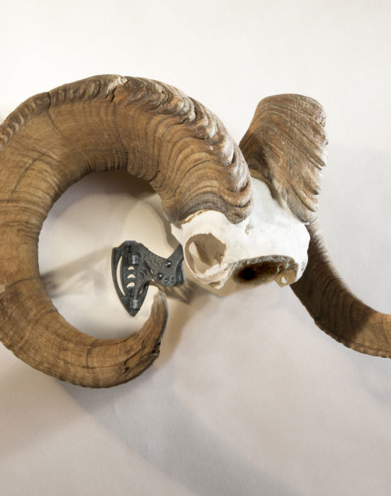 Skull Hooker Bone Bracket® XXL